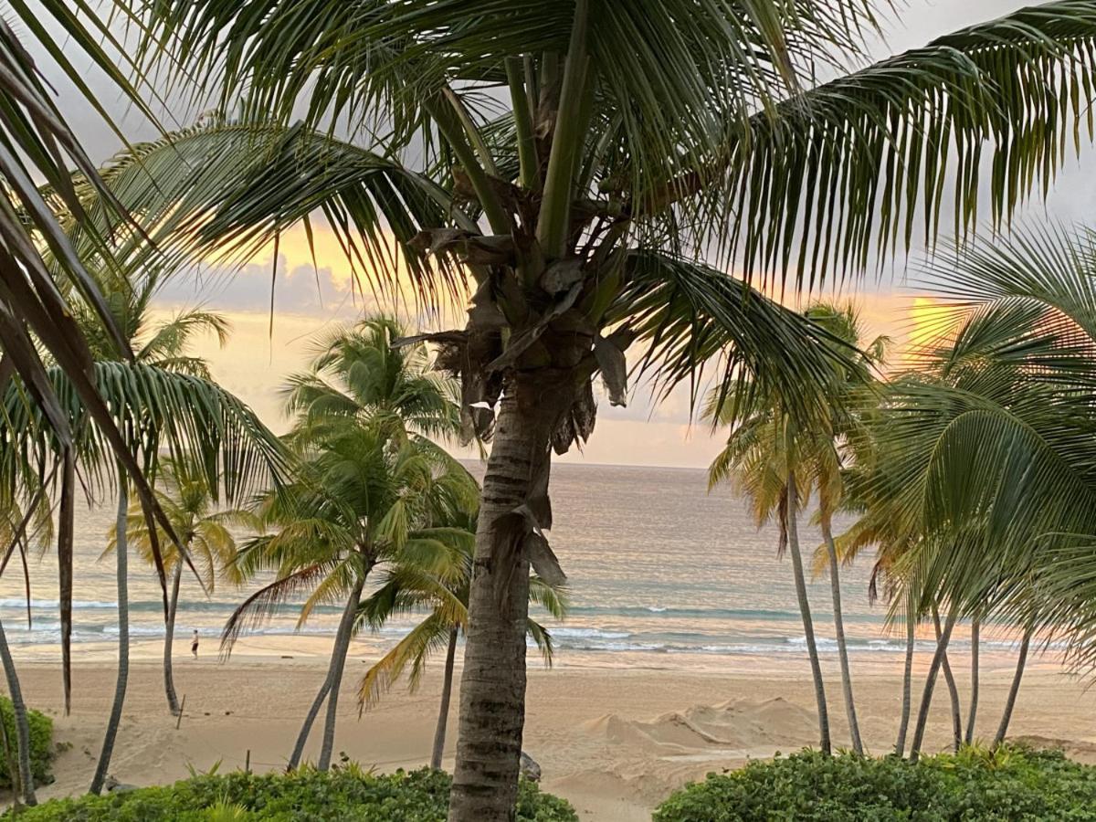 Beachfront Luxury 2 Bedroom At Wyndham Rio Mar, Pr Luquillo Extérieur photo